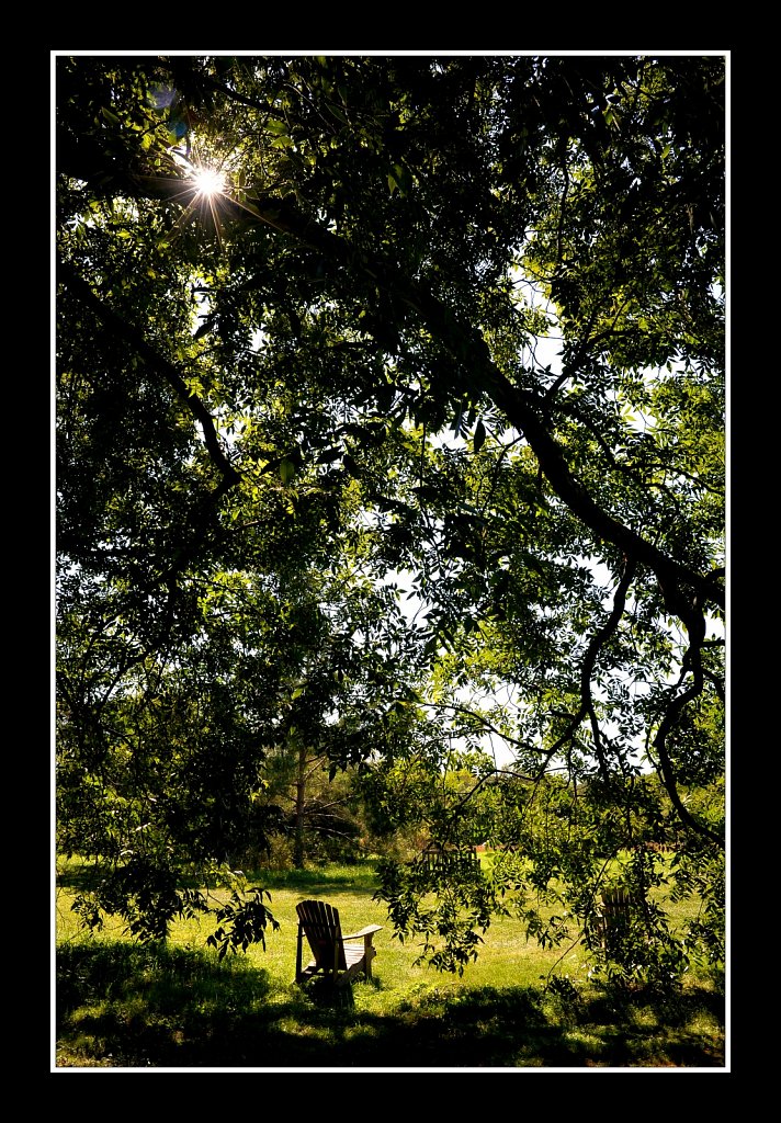 Willowwood Arboretum 