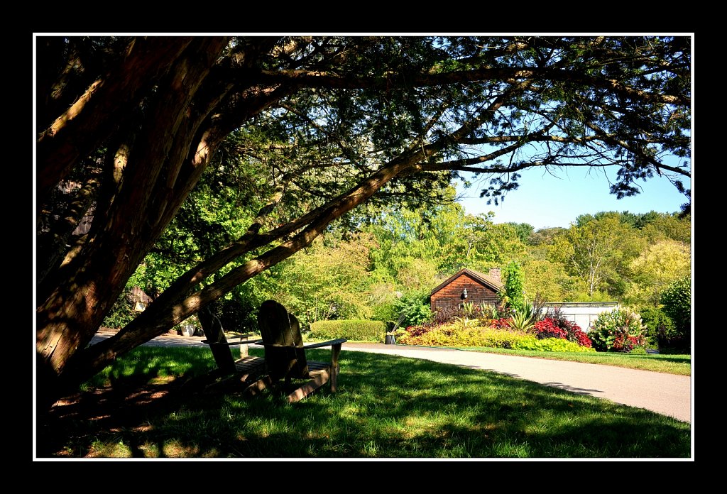 Willowwood Arboretum 