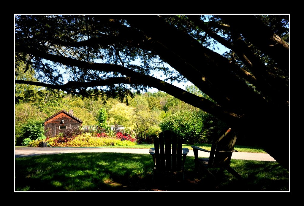 Willowwood Arboretum 