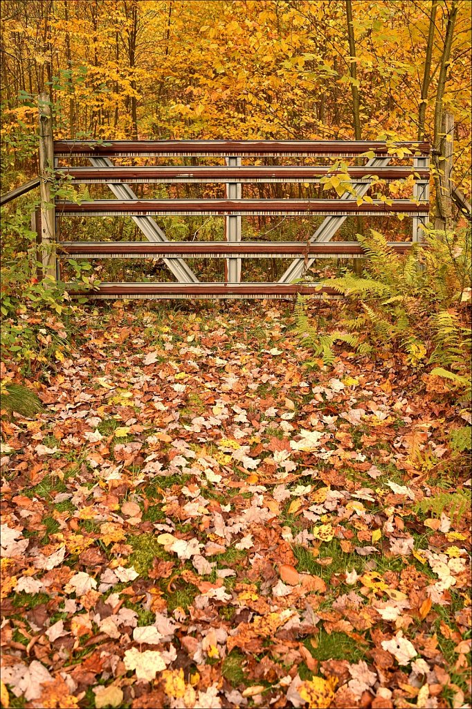 Fall 2019 NYS