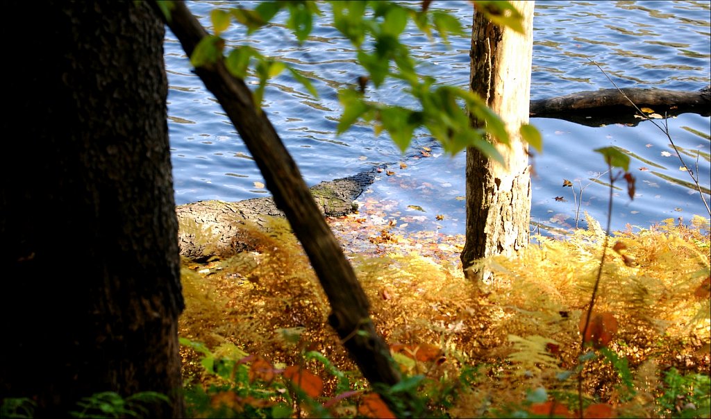 Fall 2019 Upstate NY