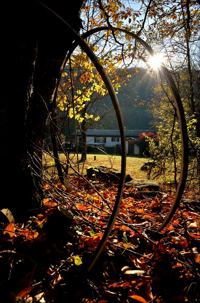 Fall 2019 NYS
