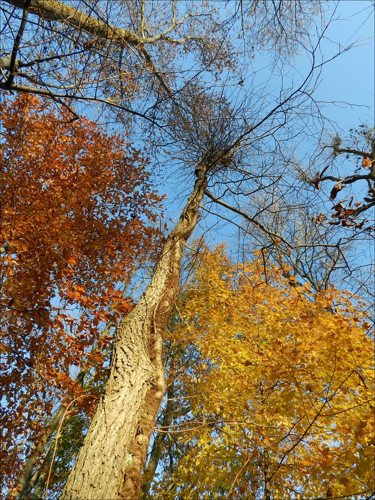 2019218F-DSCN0070.jpg
