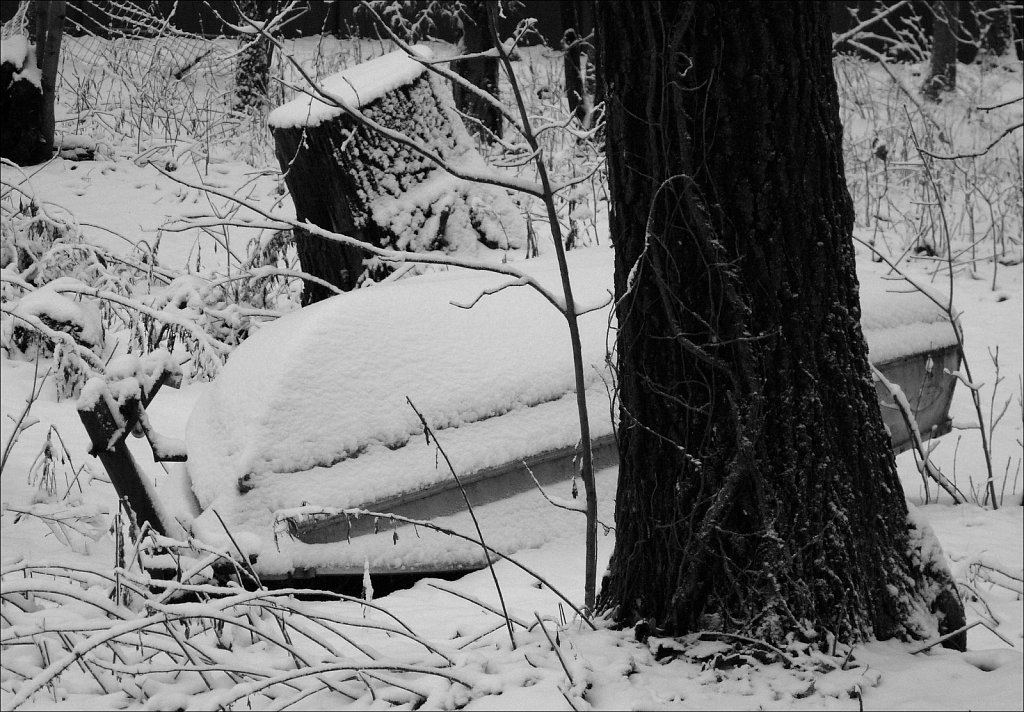 Around The Yard In The Snow