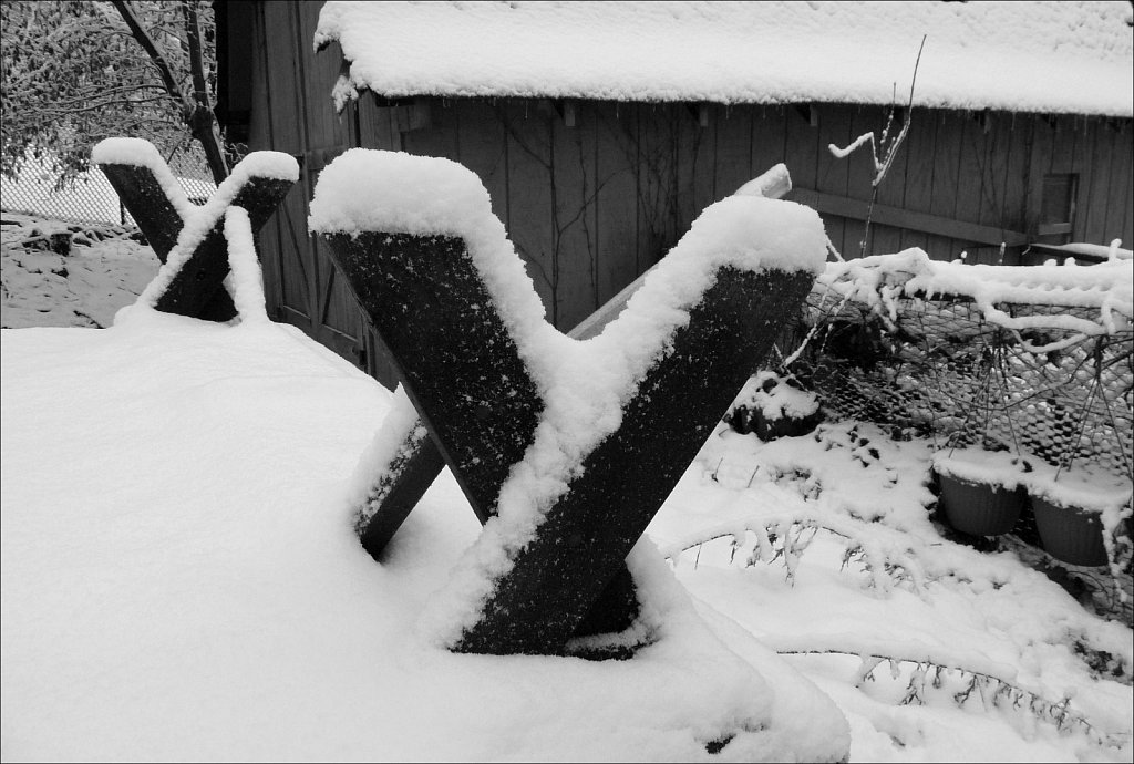 Around The Yard In The Snow