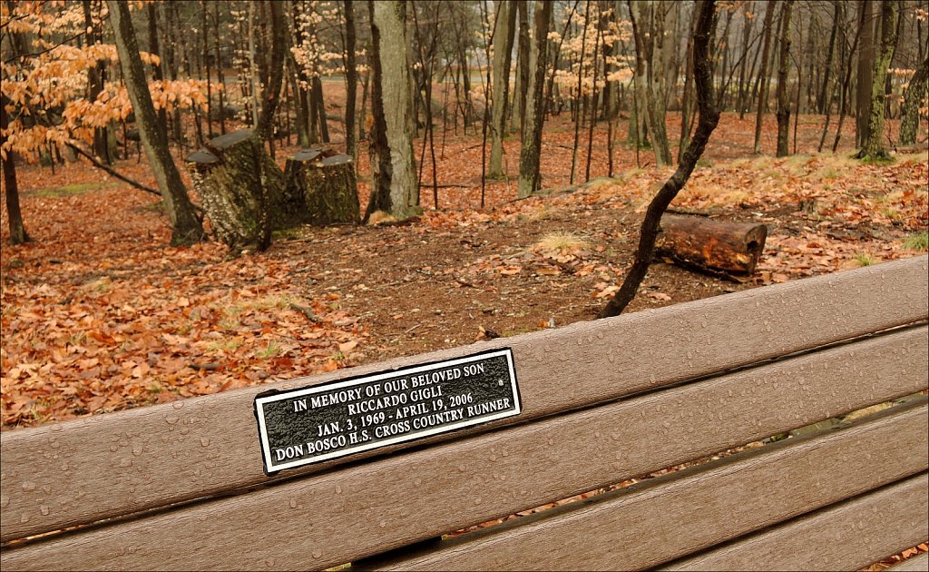 Garret Mountain Reservation