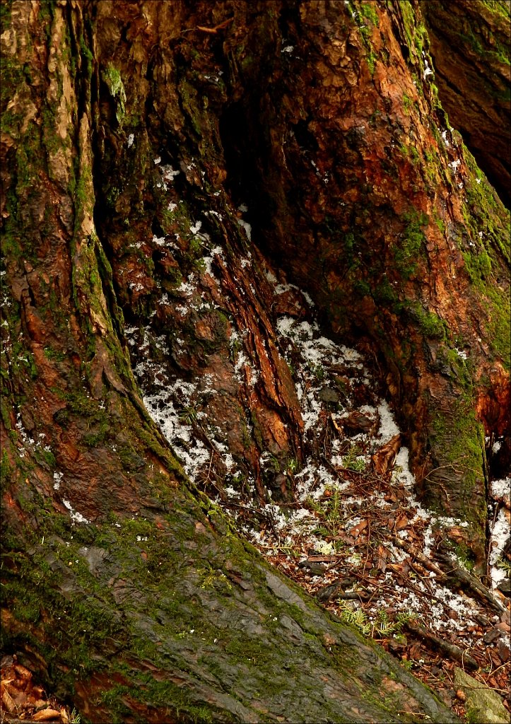 Allamuchy Mountain State Park