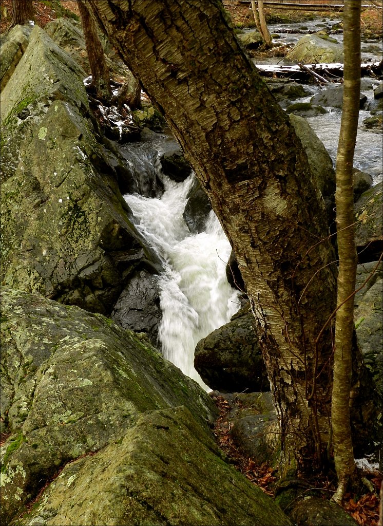 Allamuchy Mountain State Park