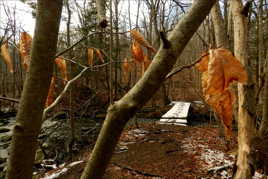 Allamuchy Mountain State Park
