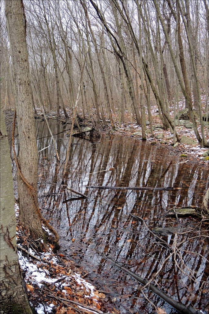 Allamuchy Mountain State Park