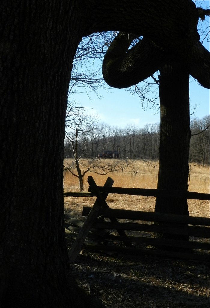 The Wick Farm at Jockey Hollow