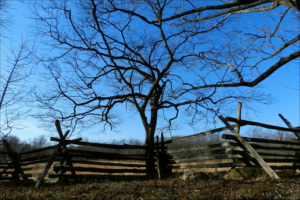 The Wick Farm at Jockey Hollow