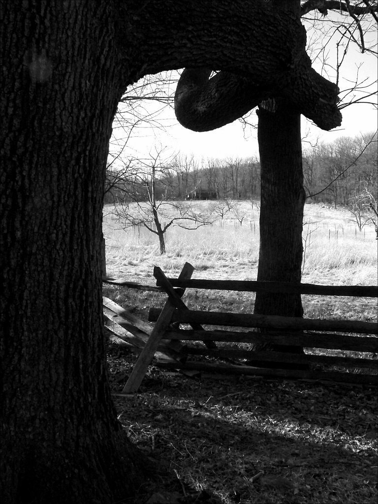 The Wick Farm at Jockey Hollow  