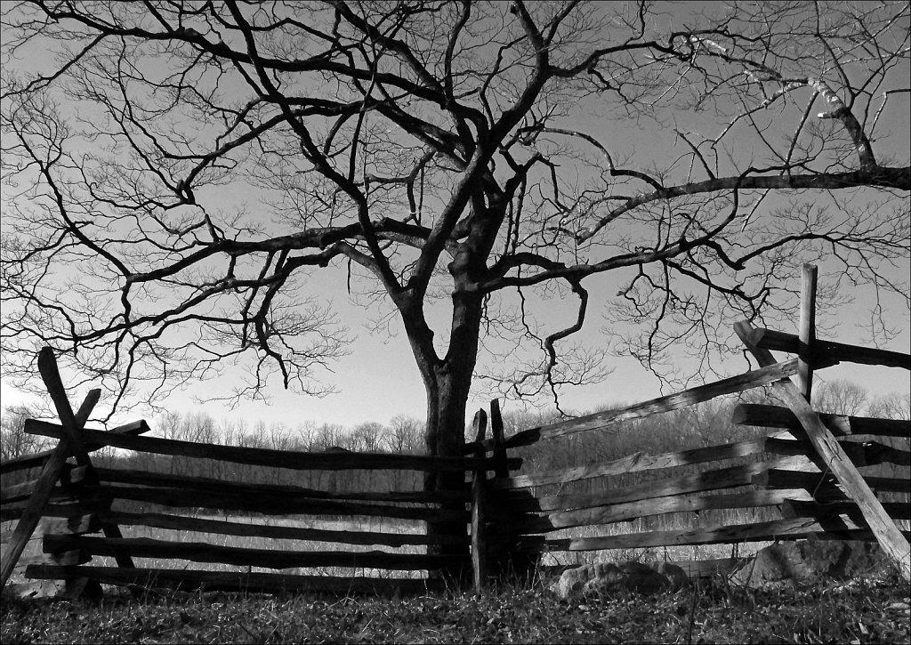 The Wick Farm at Jockey Hollow  