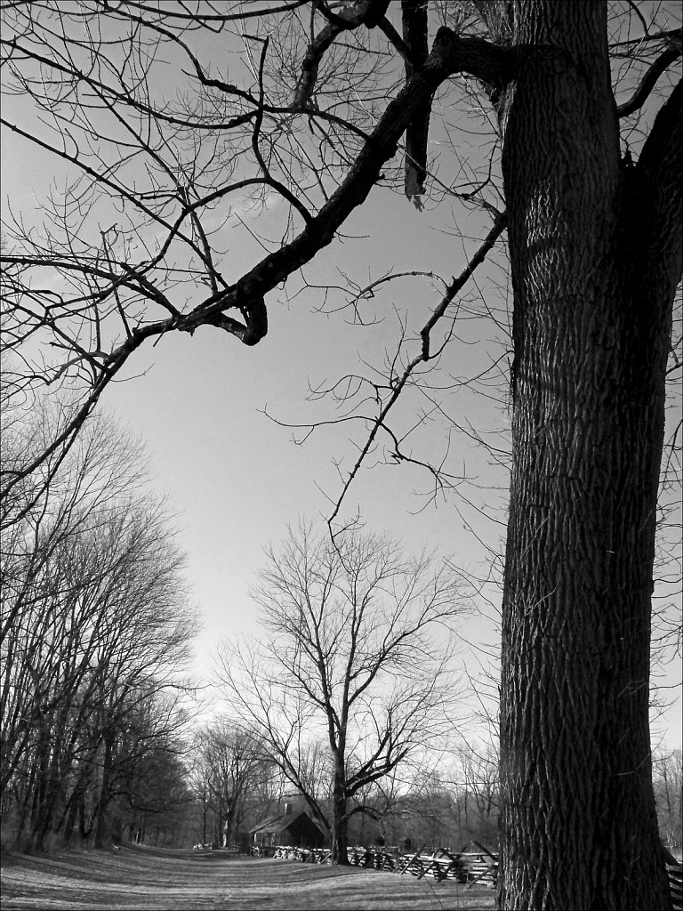 The Wick Farm at Jockey Hollow  