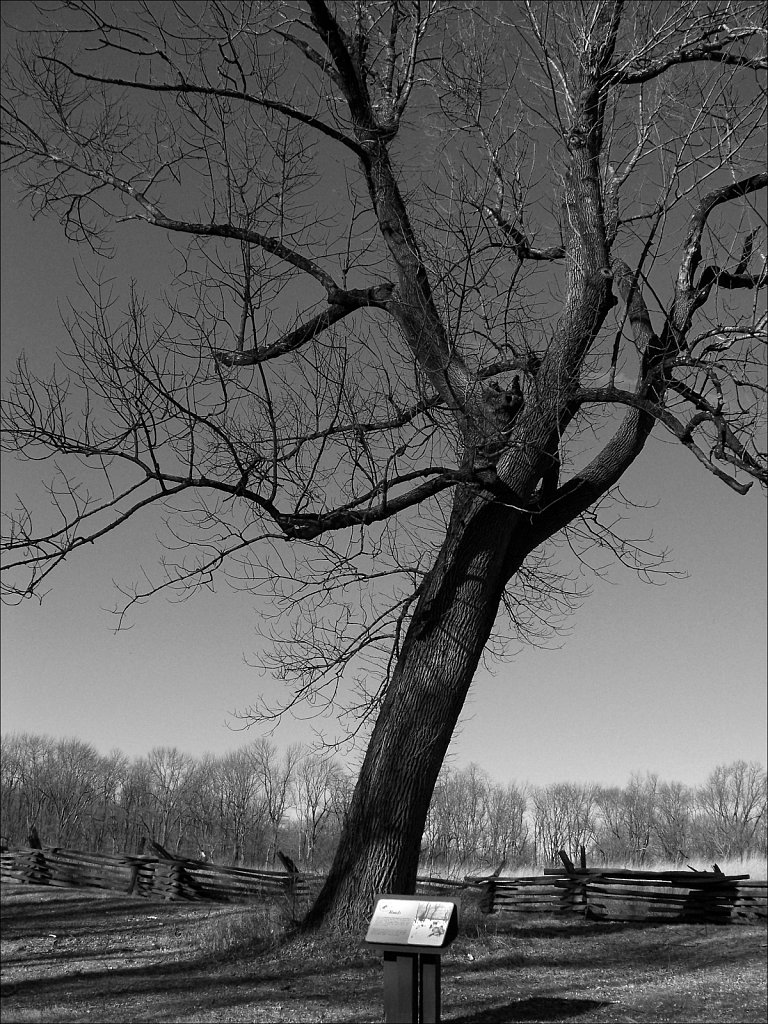 The Wick Farm at Jockey Hollow  