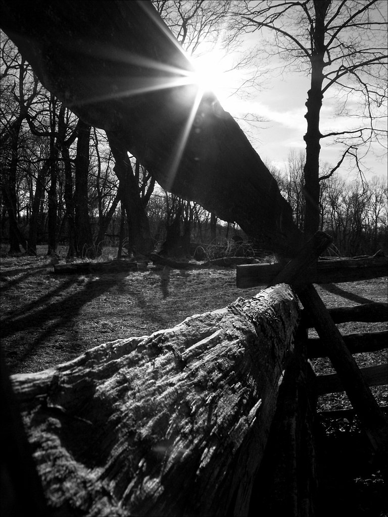 The Wick Farm at Jockey Hollow  