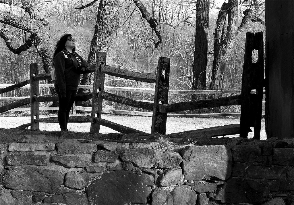 The Wick Farm at Jockey Hollow  