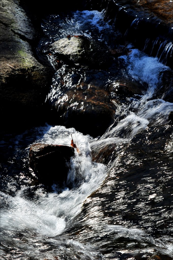 Schooley's Mountain Park