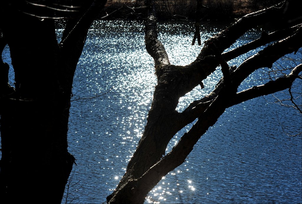 Schooley's Mountain Park