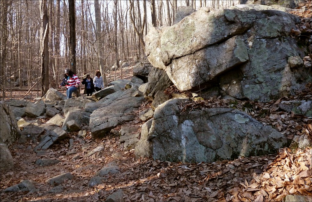 Schooley's Mountain Park