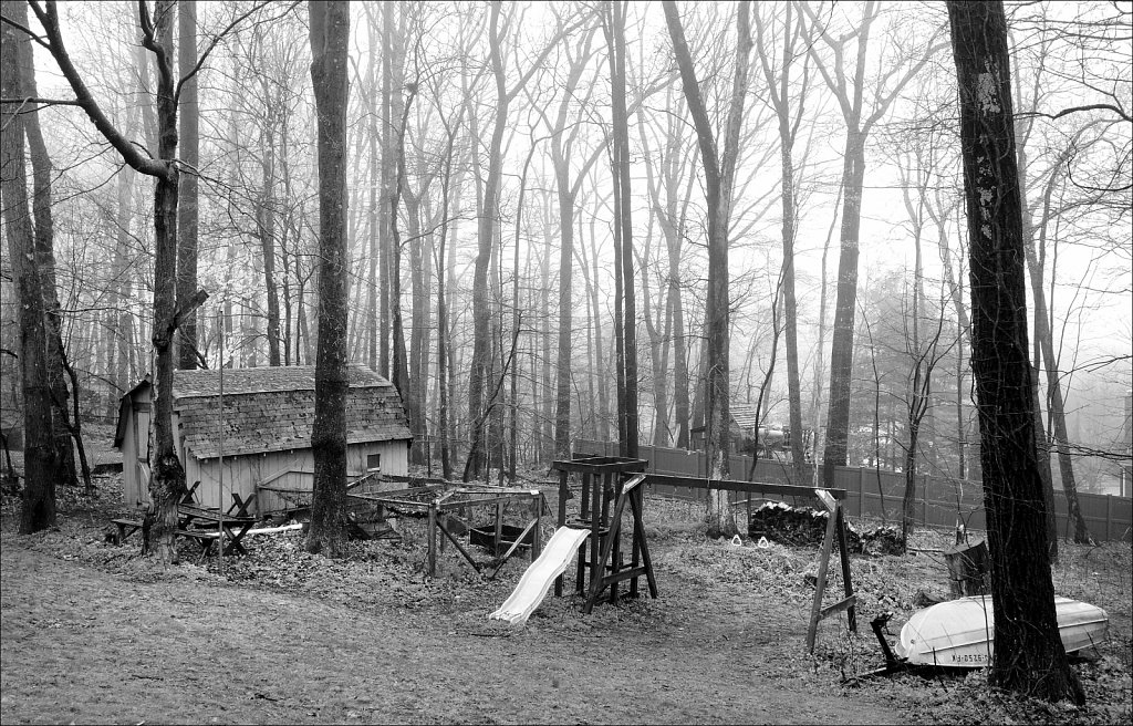 Backyard Fog