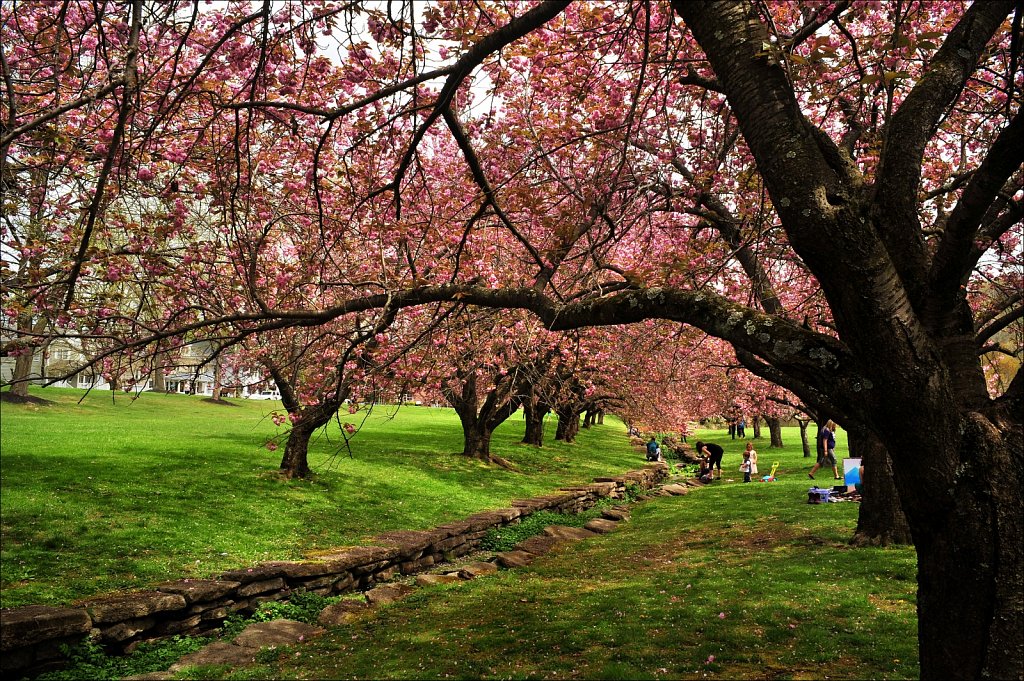 Hurd Park
