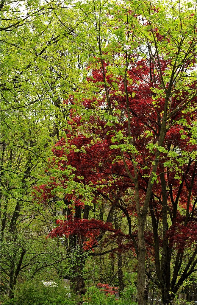 Hurd Park