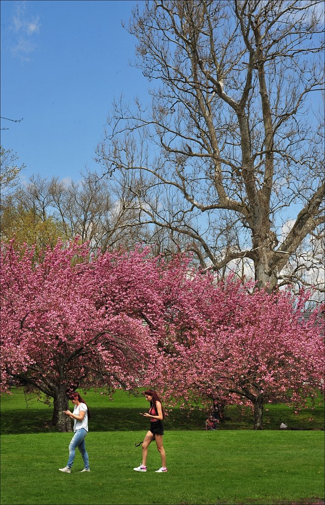 Hurd Park