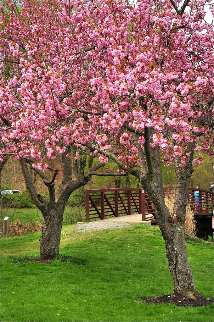 Hurd Park