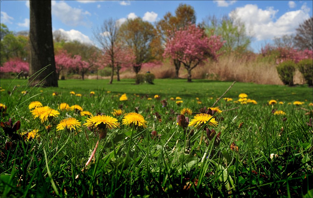 Hurd Park