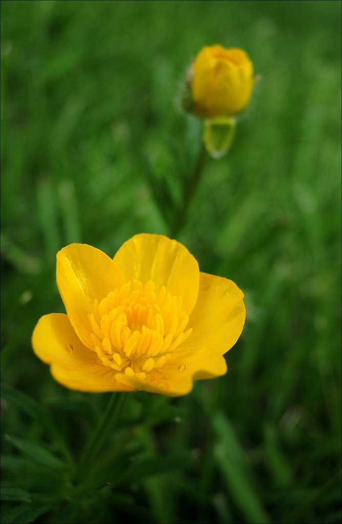 Opening Up to Spring