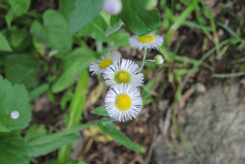 Black River County Park