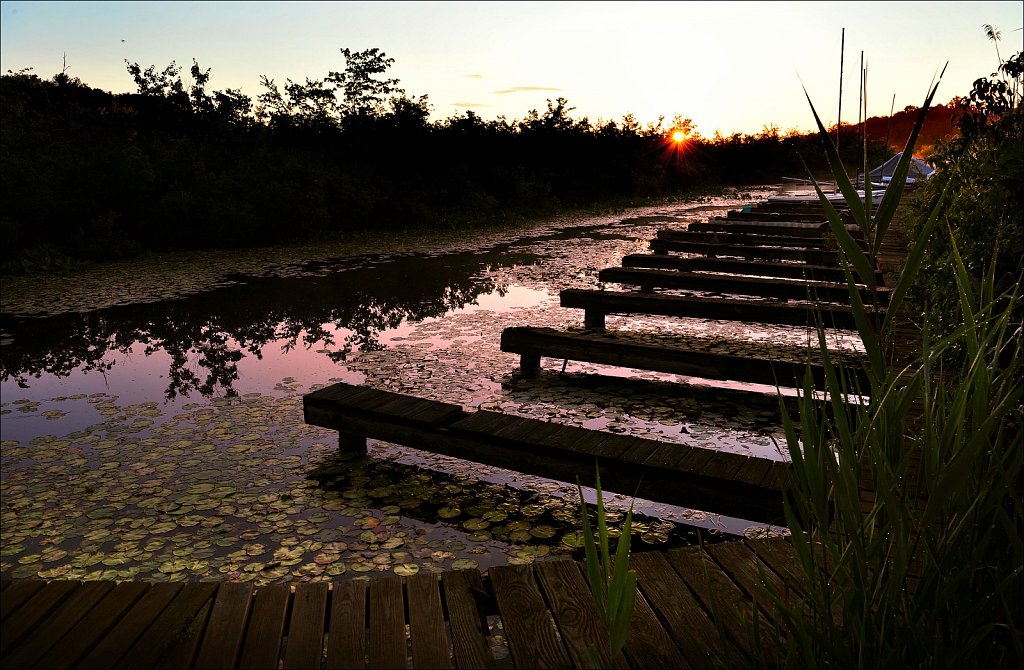 Sunrise at the South Branch