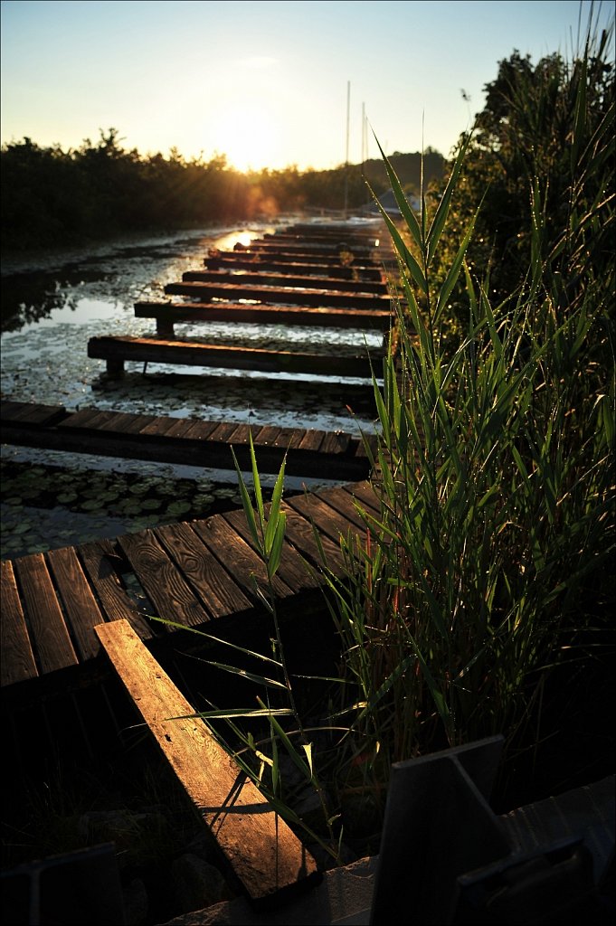 Sunrise at the South Branch