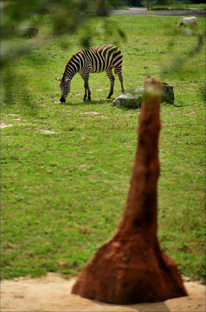 Cape May County Park & Zoo