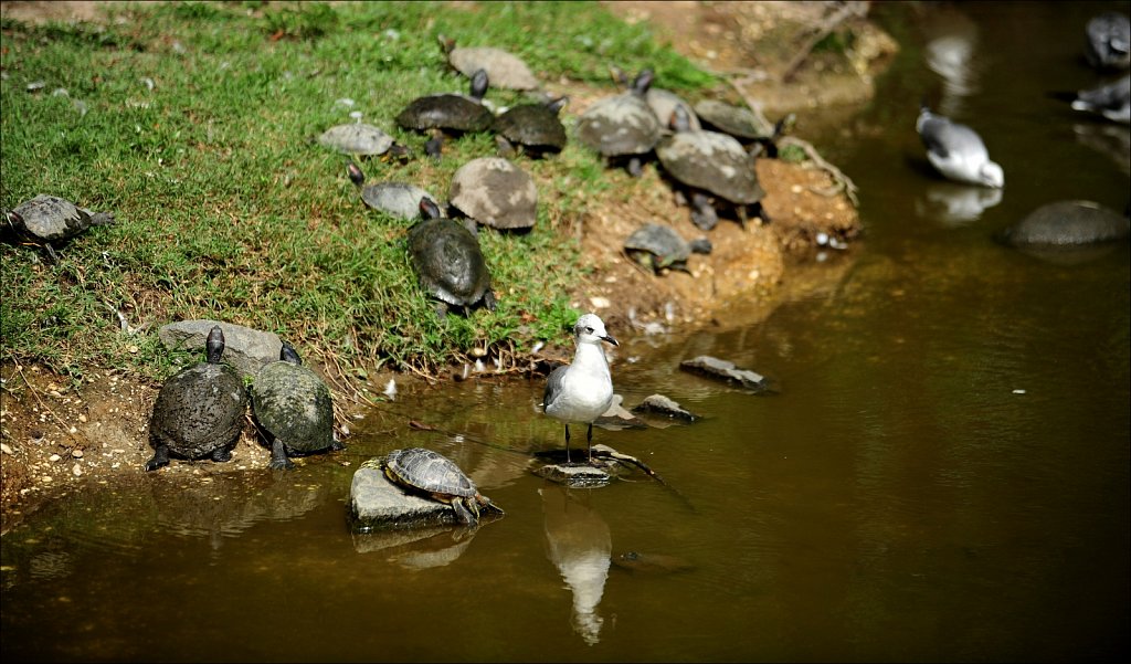 Cape May County Park & Zoo