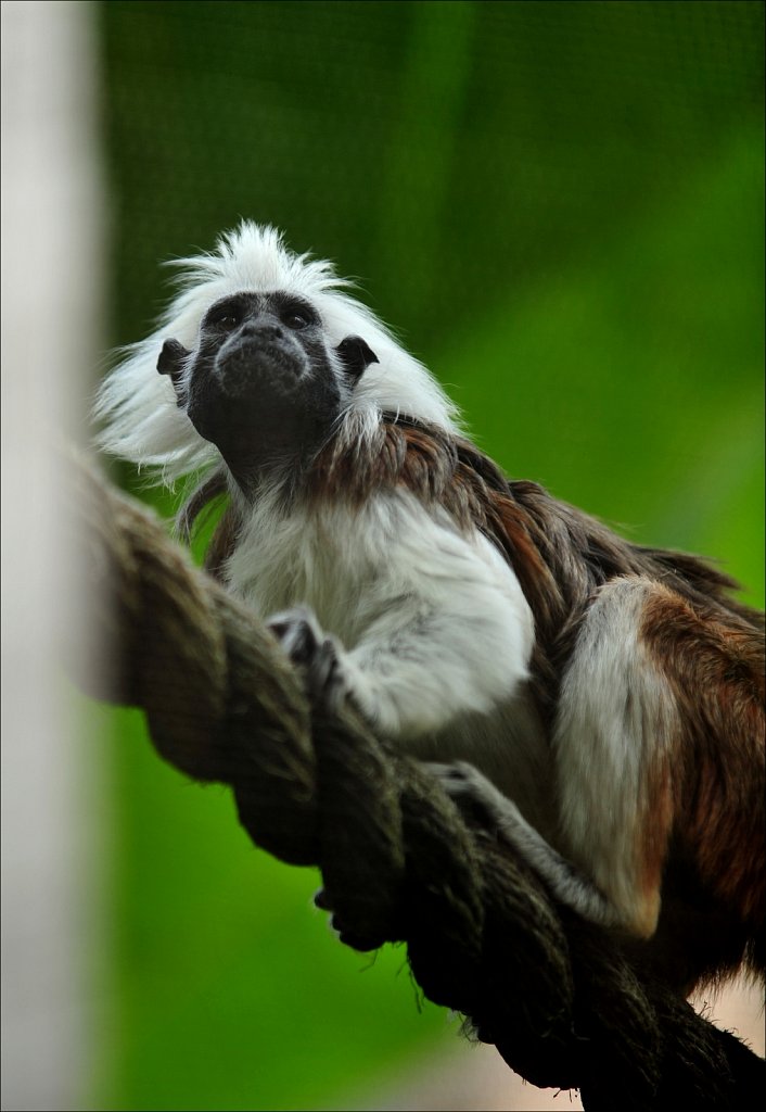 Cape May County Park & Zoo