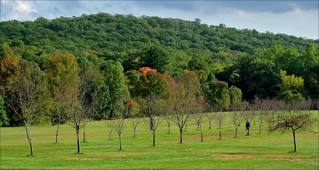 Skylands Manor - Ringwood State Park