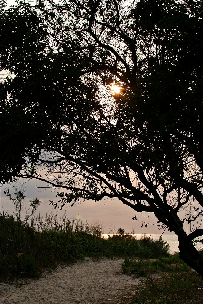 Higbee Beach