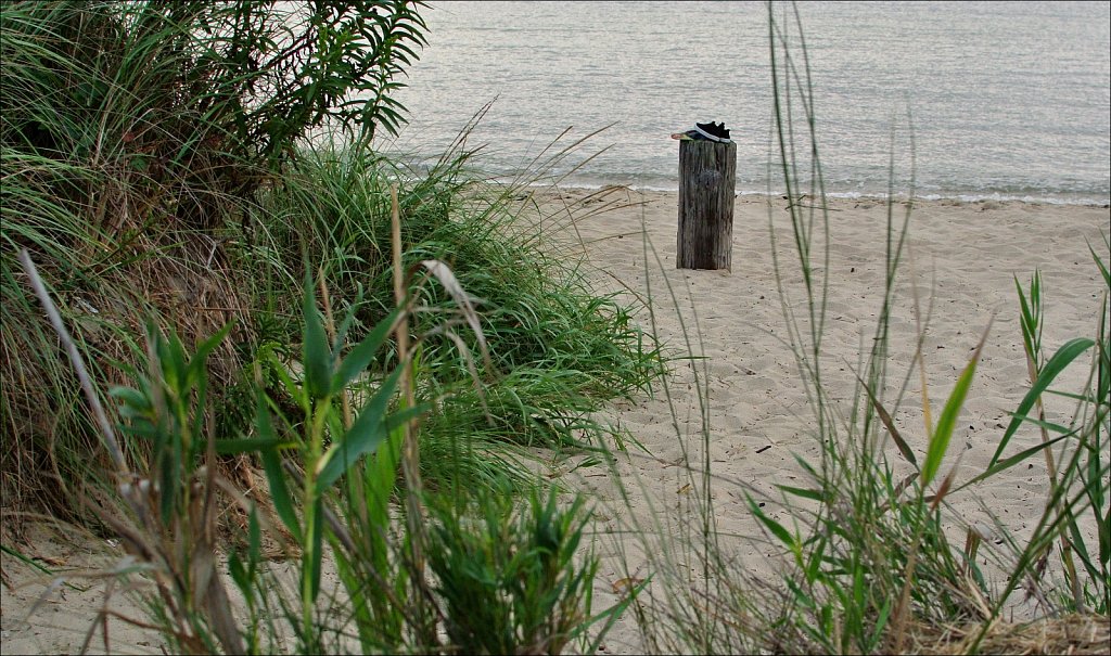 Higbee Beach