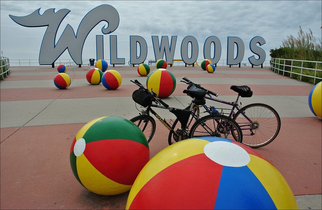 Along the Wild Wood Boardwalk