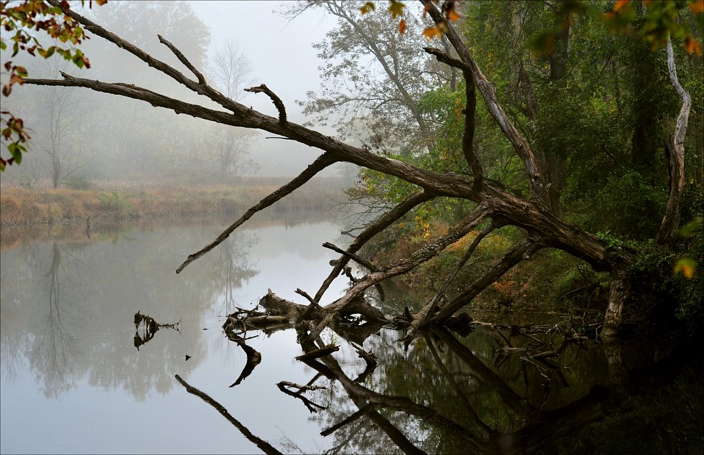 Musconetcong River