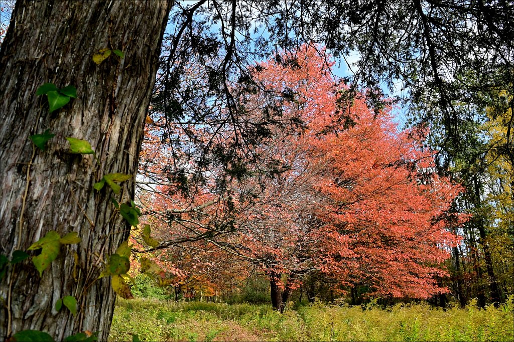 Schooley's Mountain Park