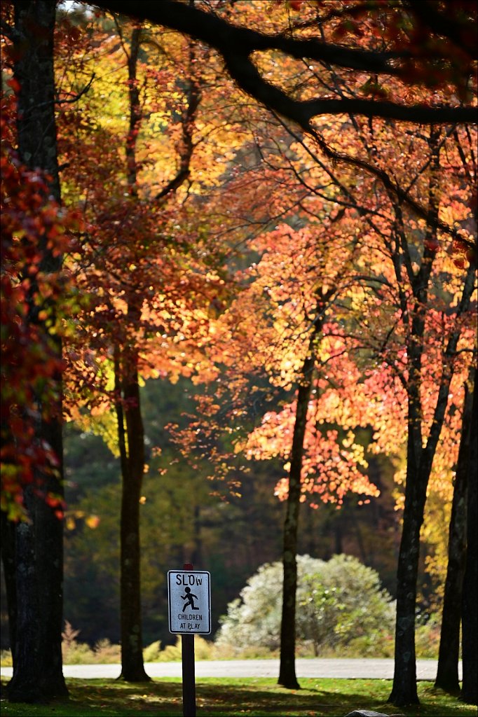 Schooley's Mountain Park