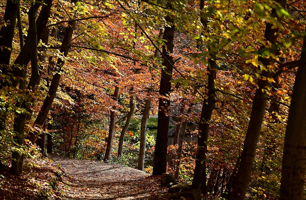 Schooley's Mountain Park