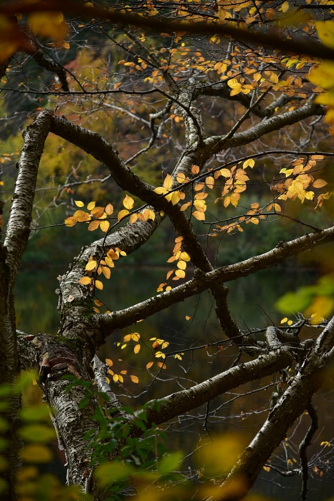 Schooley's Mountain Park