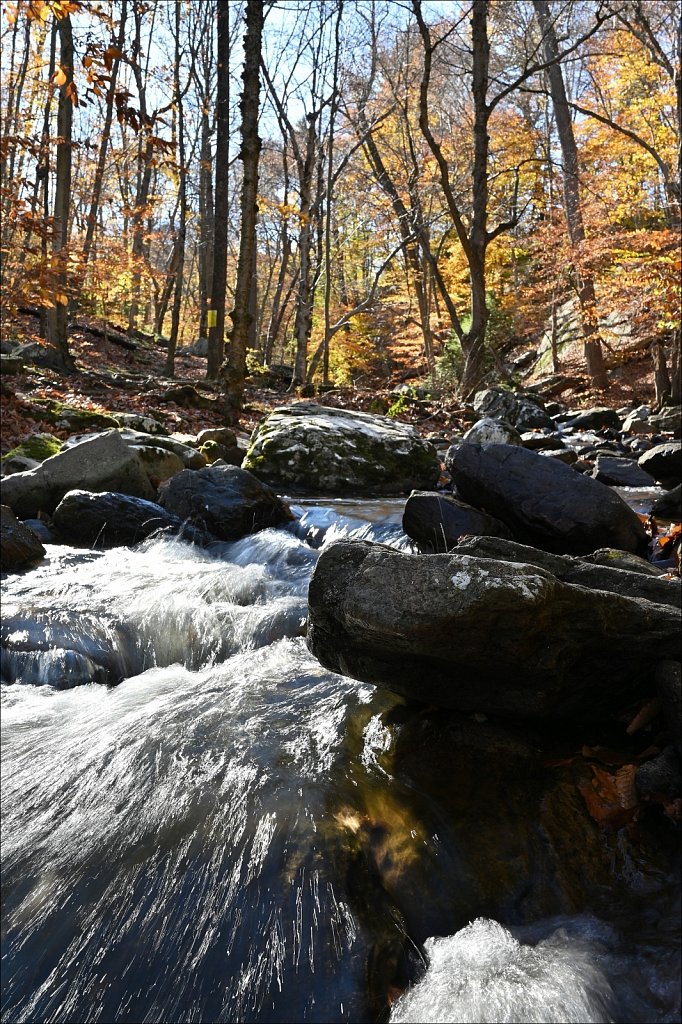 Hedden Park