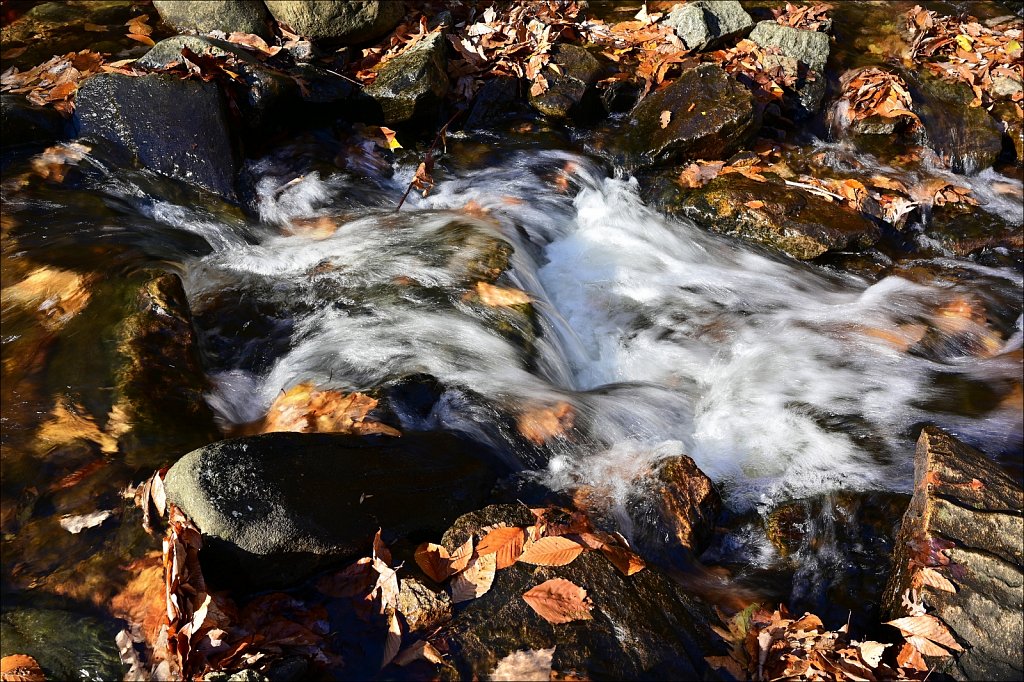 Hedden Park