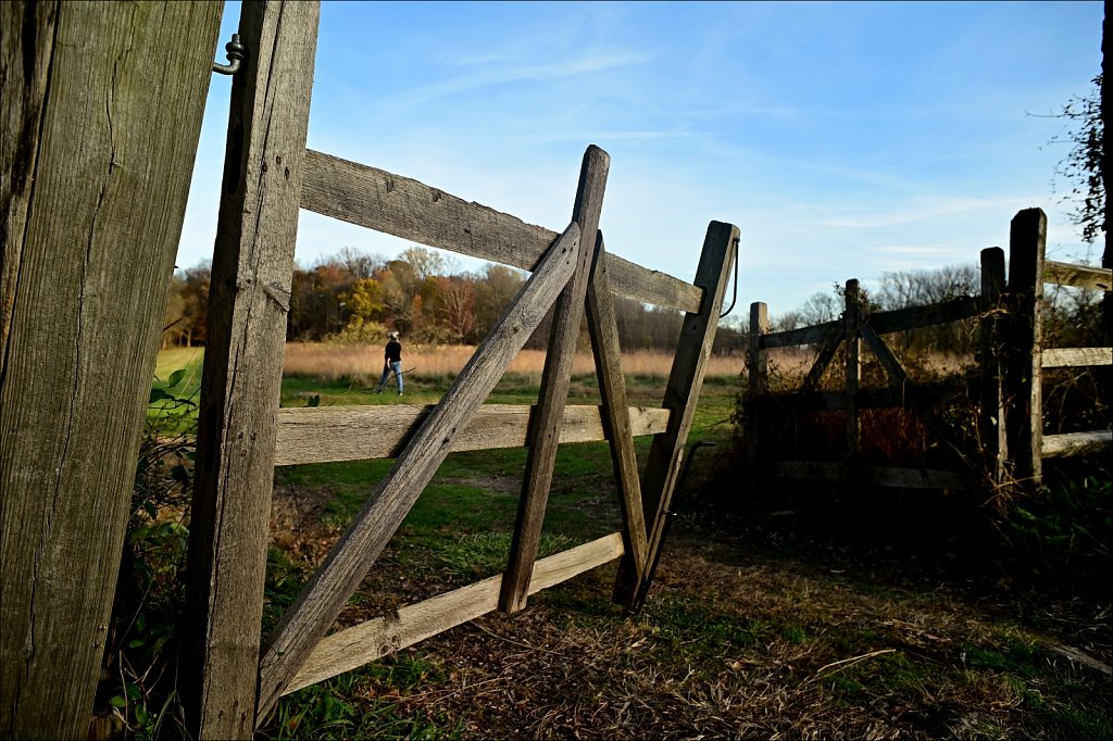 Jockey Hollow